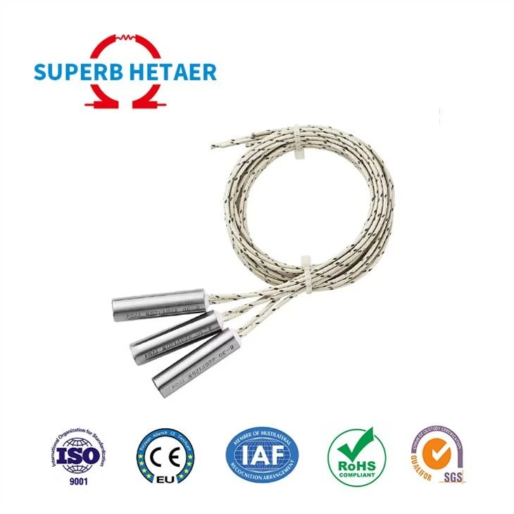 DERNORD Immersion Cartridge Heater 120V 500W Hot Rod Heating Element Replacement 12 Inch Thread (120V 500W)